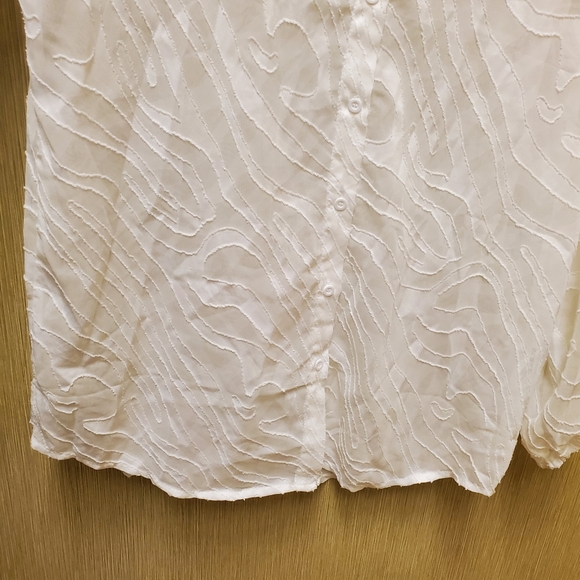 NWOT Zebra Print Semi Sheer Tunic Bishop Sleeve Size Lg - Picture 11 of 12